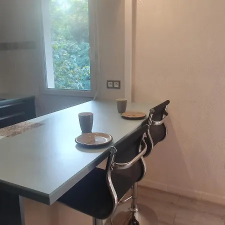 Le Leman Rose Apartment Thonon-les-Bains